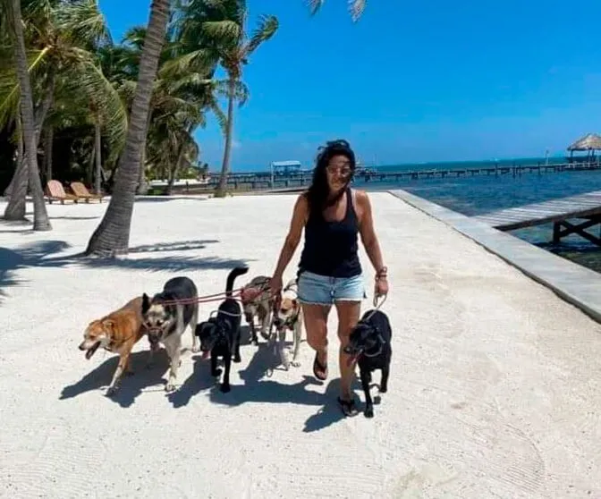 Debbie's Shadow Experience - Pampered Paws