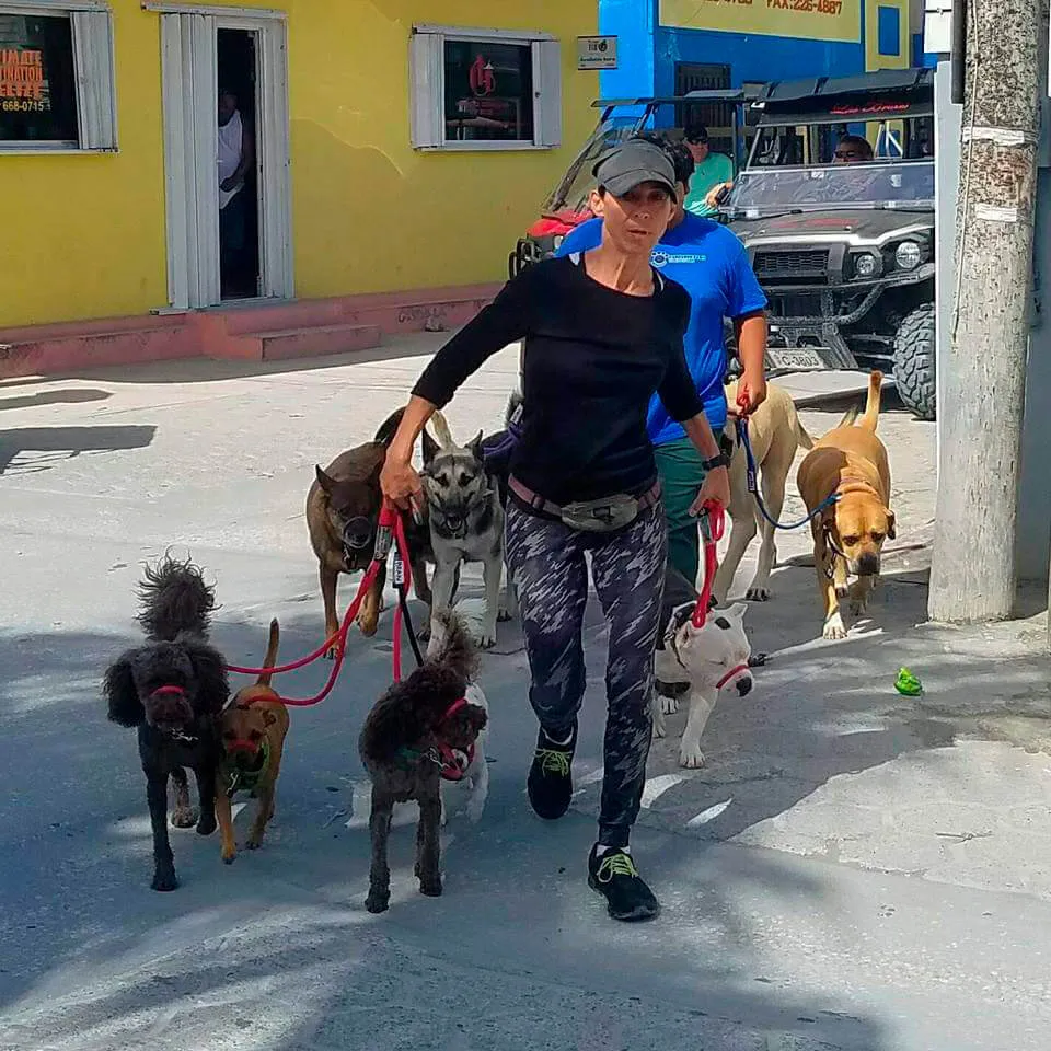 Mayte's Shadow Experience - Pampered Paws