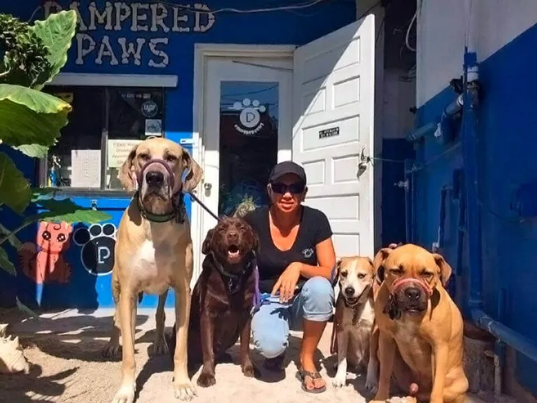 About Pampered Paws
