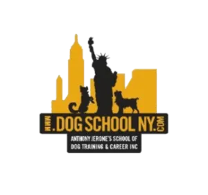Dog School New York