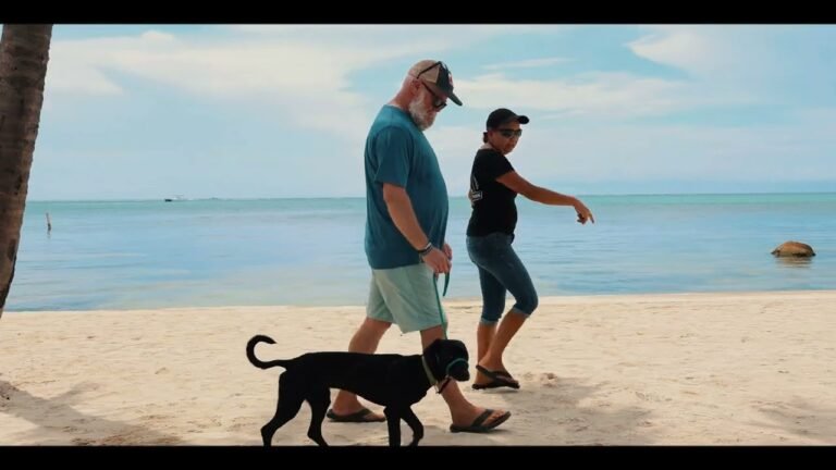 Pampered Paws - Pet Training Testimonial - Placencia Client