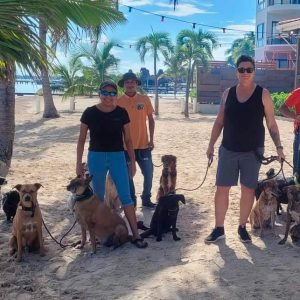 Cori's Shadow Experience - Pampered Paws