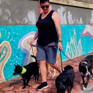 Cori's Shadow Experience - Pampered Paws