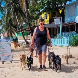 Cori's Shadow Experience - Pampered Paws