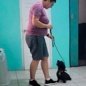 Cori's Shadow Experience - Pampered Paws