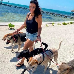 Debbie's Shadow Experience - Pampered Paws