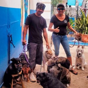 Eric's Shadow Experience - Pampered Paws