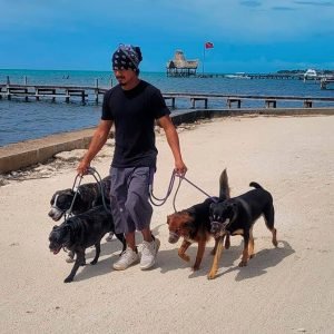 Eric's Shadow Experience - Pampered Paws