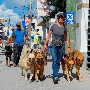 Mayte's Shadow Experience - Pampered Paws