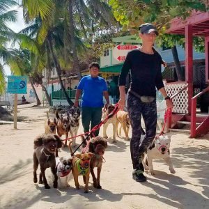 Mayte's Shadow Experience - Pampered Paws