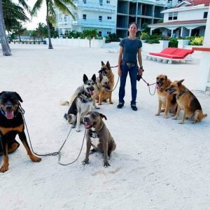 Mayte's Shadow Experience - Pampered Paws