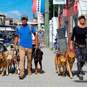 Mayte's Shadow Experience - Pampered Paws