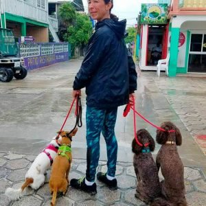 Mayte's Shadow Experience - Pampered Paws