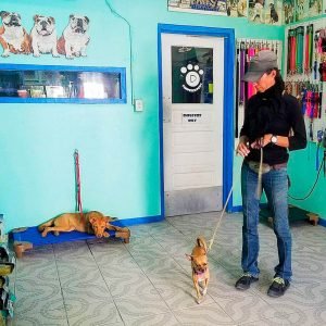 Mayte's Shadow Experience - Pampered Paws