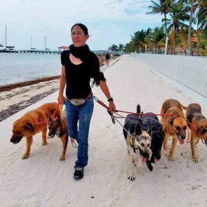 Mayte's Shadow Experience - Pampered Paws