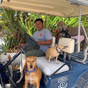 Solomon's Shadow Experience - Pampered Paws