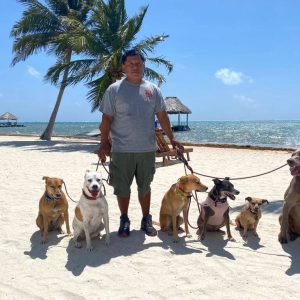 Solomon's Shadow Experience - Pampered Paws