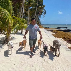 Solomon's Shadow Experience - Pampered Paws