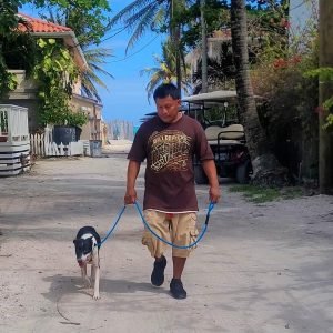 Solomon's Shadow Experience - Pampered Paws